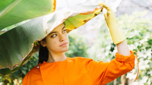 Lightweight Textures Adapt to Indian Monsoon and Summer Seasons